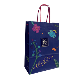 Sac-kraft-poignees-torsadees-prix-attractif-papier-01