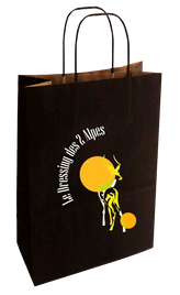 Sac-kraft-poignees-torsadees-commande-petit-volume-publicitaire-papier-19