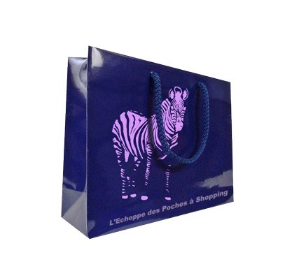 sac-publicitaire-en-papier-chouché-avec une lamination-brillante-et-une-personnalisation-en-offset-2-couleurs-sur-Bordeaux