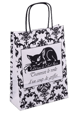 Sac-en-kraft-blanc-avec-des-poignées-torsadées-personnalisé-en-flexographie--1-couleur-pour-boutique-de-Bordeaux-et-bayonne